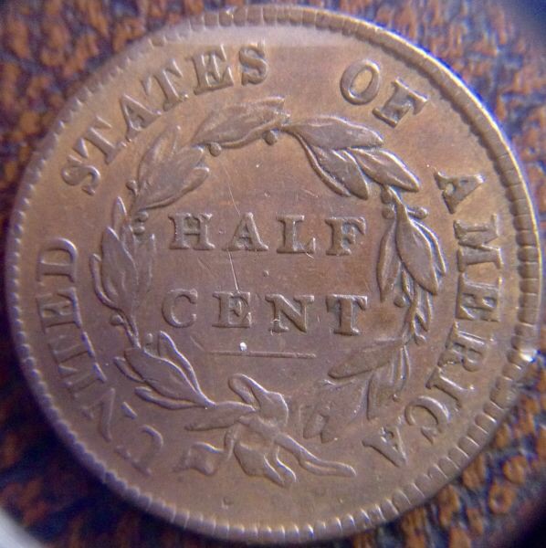 Draped-Bust-Half-Cent-Set